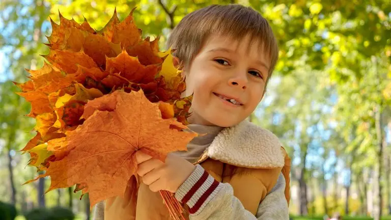 Herbstzauber im Klassenzimmer