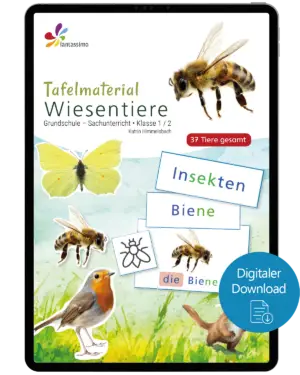 Wiesentiere - Tafelmaterial für die Grundschule