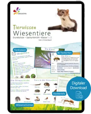 Wiesentiere - Tierwissen für die Grundschule