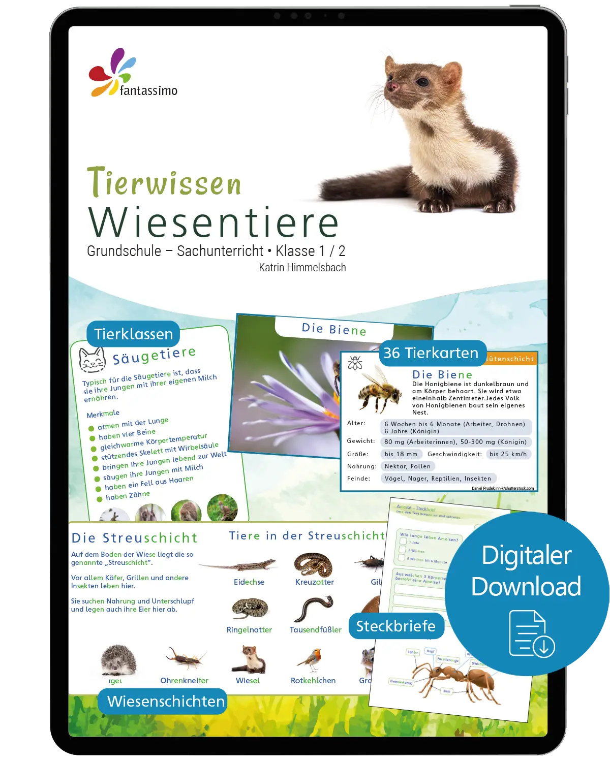 Wiesentiere - Tierwissen für die Grundschule