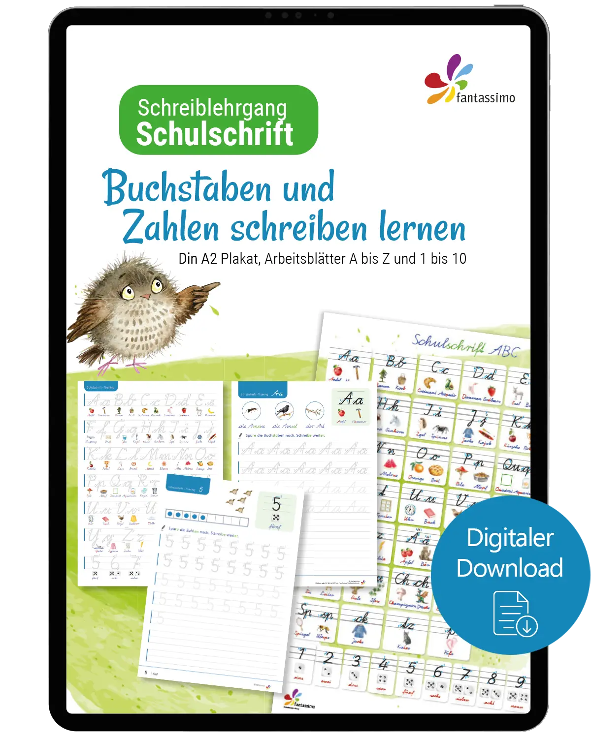 Schreiblehrgang Schulschrift - Volksschule und Grundschule